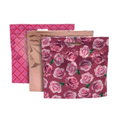 SACOLA LAM ZIP SANF 14000678