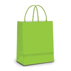 SACOLA P VD CL S12013