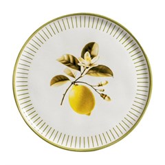 PRATO RASO BIO LEMON 1231129901