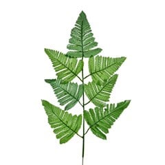 HASTE SAMAMBAIA X7 60CM 12P VD 16344-004