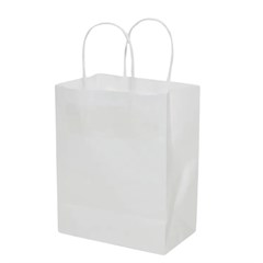 SACOLA PAP 16X12X7 BCA 19000734