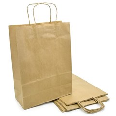 SACOLA PAP EXG KRAFT F LARGO 14001885