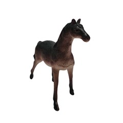 Cavalo Mt2697