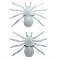 Aranha Brilha Escuro 791781