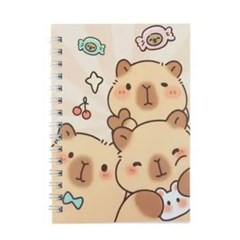 KIT CADERNETA DV80422