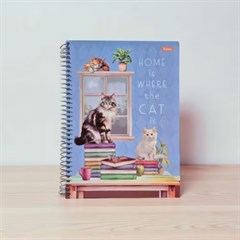 CADERNO CD FURFRIENDS 1X1 80F 7057