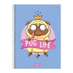 CADERNO CD EVER 10X1 160F 7137