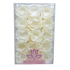 FORMA PEONIA 30 BCO CLEAN