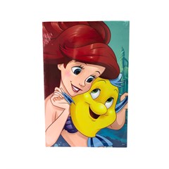 PLACA DECOR 20X30 PRINCESA DIS192