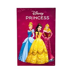 PLACA DECOR 20X30 PRINCESA DIS192