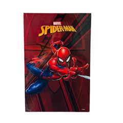 PLACA DECOR 20X30 H ARANHA DIS194