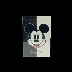 PLACA DECOR 20X30 MICKEY DIS190