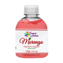 REFIL SABONETE LIQ 250ML MORANGO 5868