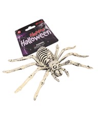 ARANHA ESQUELETO PI4372