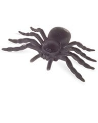 ARANHA PELUDA 21CM PI4382