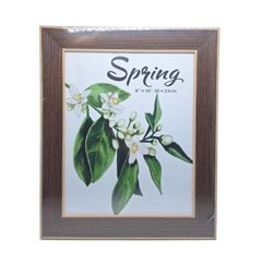 P/RETRATO 20X25 27861