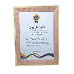 P/RETRATO 25X34 27868