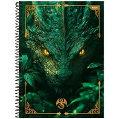 CADERNO CD DRAKOS 10X1 160F 8594