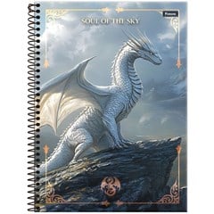 CADERNO CD DRAKOS 10X1 160F 8594
