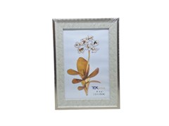 P/RETRATO 10X15 27649