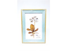 P/RETRATO 10X15 27640