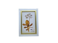 P/RETRATO 10X15 27646