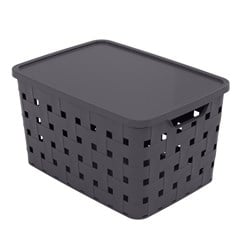 CAIXA PLASUT C/TP FITA 29L 18256