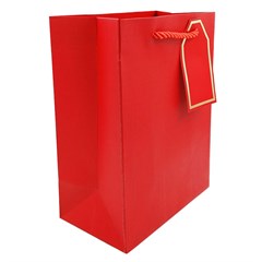 SACOLA P/PRESENTE LISA P FJ91189