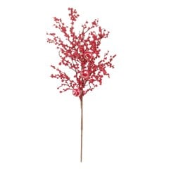 GALHO FRUT VM 1091408