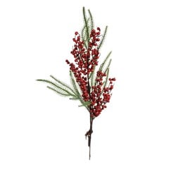 GALHO FRUT VM 1037859