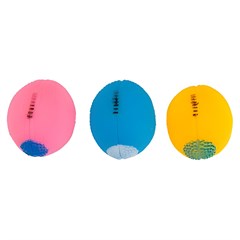 PET BOLA BEISEBOL CRAV XH1127