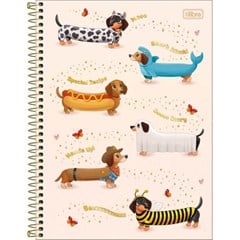 CADERNO CD BROWNIE 1X1 80F 397717