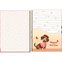 CADERNO CD BROWNIE 1X1 80F 397717