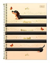 CADERNO CD BROWNIE 10X1 160F 397709
