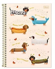 CADERNO CD BROWNIE 10X1 160F 397709