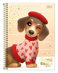 CADERNO CD BROWNIE 10X1 160F 397709