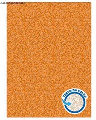 ALBUM TILIB COL VISUAL 36F 356158