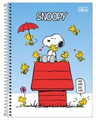 CADERNO CD SNOOPY FIT 1X1 80F 396052