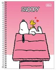 CADERNO CD SNOOPY FIT 1X1 80F 396052