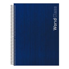 CADERNO CD WORLD CLASS 15X1 240F 10799
