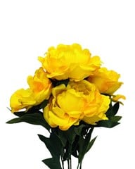 BQ PEONIA X5 AM 57854-005
