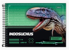 CADERNO DESENHO PLANETA DINO 80F 0331005