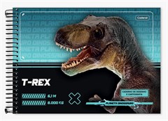 CADERNO DESENHO PLANETA DINO 80F 0331005