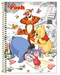 CADERNO CD POOH 1X1 80F 3978140