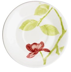 PRATO OXF SOB ACTUAL BEAUTY 1481