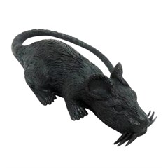 Rato 899504