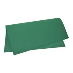 EVA COR ROLO 40X48 995 (100) VD GRAMA