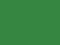 EVA COR ROLO 40X48 995 (100) VD BAND