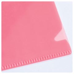 PASTA L TR 22 X30,5MM 10P 42PP-VM (100)