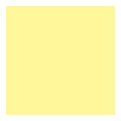 EVA COR ROLO 39X47 (100) AM BB